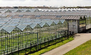 CO2 has many uses in greenhouse & grow house applications